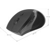 Mysz bezprzewodowa Defender ACCURA MM-295 optyczna 1600dpi 6P czarna