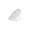 Mysz bezprzewodowa Natec Crake 2 Bluetooth 5.2 + 2.4GHz 2400DPI wertykalna biała