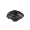 Mysz bezprzewodowa Natec Blackbird 2 optyczna NANO 2.4GHz czarna z cichym klikiem