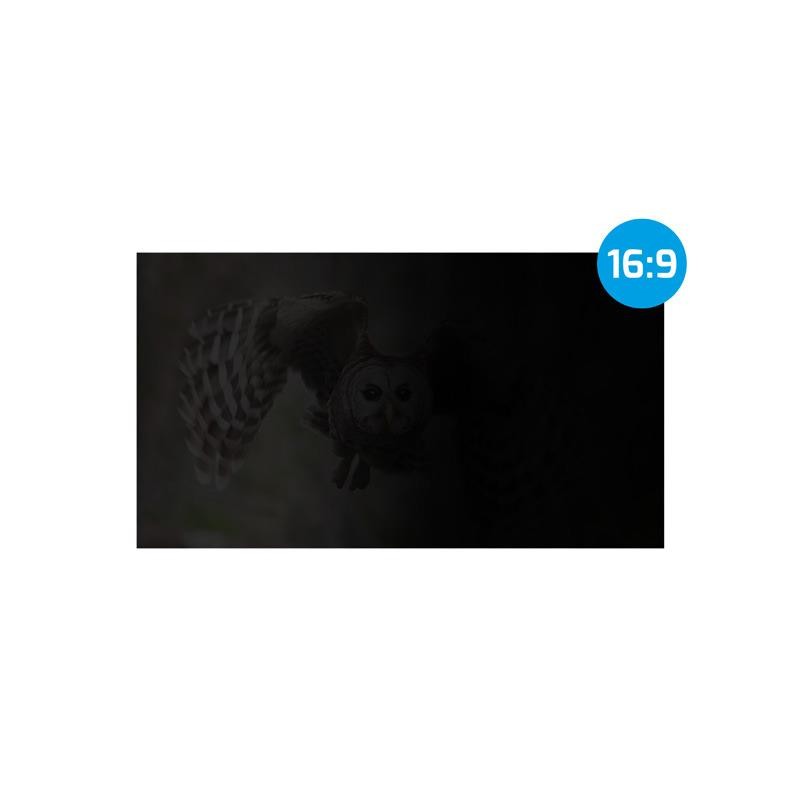 Filtr prywatyzujący RODO Natec Owl 21,5" 16:9