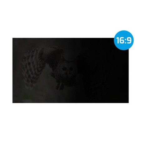 Filtr prywatyzujący RODO Natec Owl 21,5" 16:9