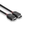 Kabel DisplayPort 1.2, LINDY Black Line 4K UHD M/M, czarny, 2m