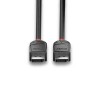 Kabel DisplayPort 1.2, LINDY Black Line 4K UHD M/M, czarny, 1m