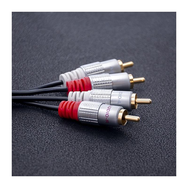 Kabel Qoltec 2xRCA męski / 2xRCA męski | 2m | Czarny
