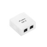 Gniazdo natynkowe Lanberg OU6-0002-W kat.6 2X RJ45