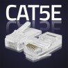 Wtyk QOLTEC złącze modularne RJ45 | CAT5e | UTP | Pozłacane styki | 10 sztuk
