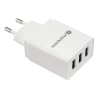 Ładowarka sieciowa everActive SC-300 3xUSB 3,4A